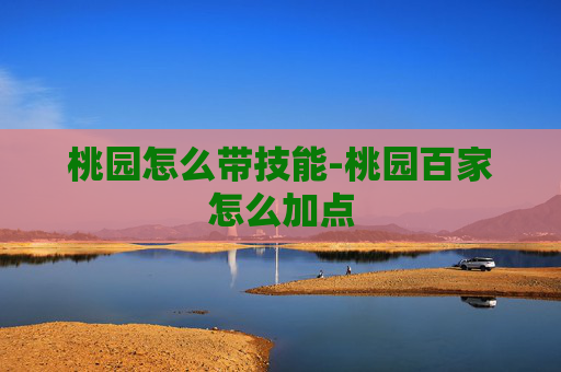 桃园怎么带技能-桃园百家怎么加点