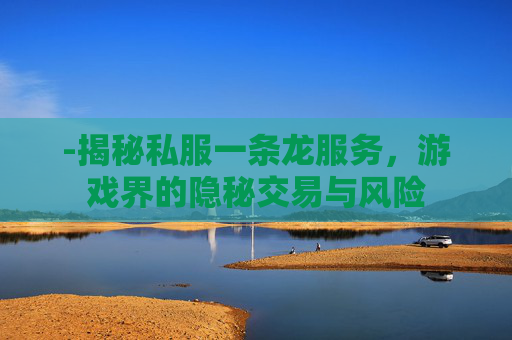 -揭秘私服一条龙服务,游戏界的隐秘交易与风险 -揭秘私服一条龙服务,游戏界的隐秘交易与风险