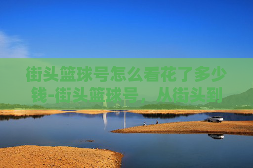 街头篮球号怎么看花了多少钱-街头篮球号，从街头到职业的奋斗之路