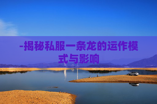 -揭秘私服一条龙的运作模式与影响