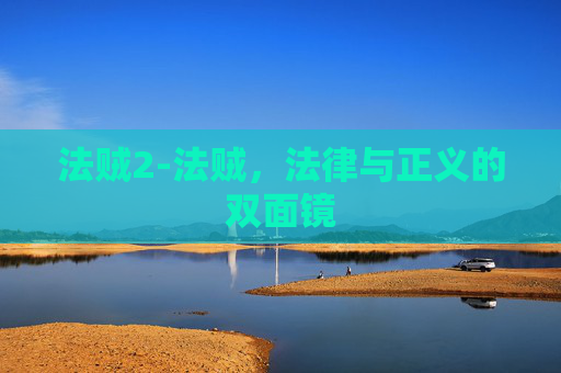 法贼2-法贼,法律与正义的双面镜 法贼2-法贼,法律与正义的双面镜