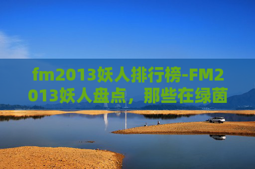 fm2013妖人排行榜-FM2013妖人盘点,那些在绿茵场上闪耀的异类 fm2013妖人排行榜-FM2013妖人盘点,那些在绿茵场上闪耀的异类