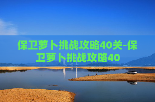 保卫萝卜挑战攻略40关-保卫萝卜挑战攻略40 保卫萝卜挑战攻略40关-保卫萝卜挑战攻略40