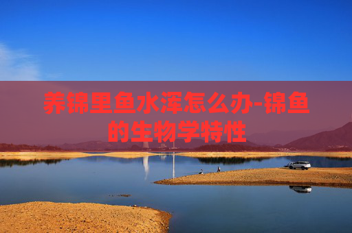 养锦里鱼水浑怎么办-锦鱼的生物学特性 养锦里鱼水浑怎么办-锦鱼的生物学特性