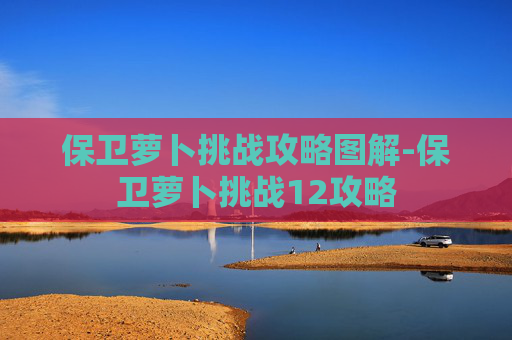 保卫萝卜挑战攻略图解-保卫萝卜挑战12攻略
