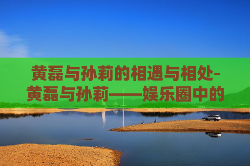 黄磊与孙莉的相遇与相处-黄磊与孙莉——娱乐圈中的模范夫妻