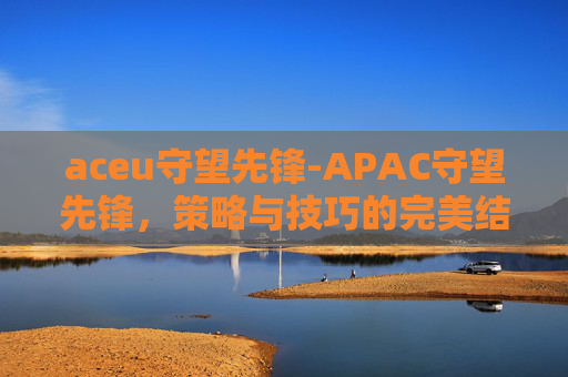 aceu守望先锋-APAC守望先锋,策略与技巧的完美结合 aceu守望先锋-APAC守望先锋,策略与技巧的完美结合