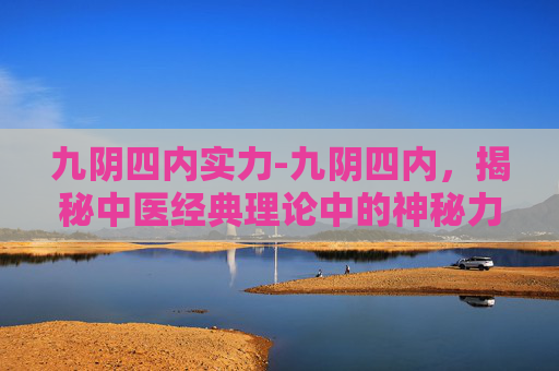 九阴四内实力-九阴四内，揭秘中医经典理论中的神秘力量