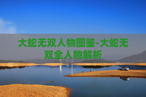 大蛇无双人物图鉴-大蛇无双全人物解析