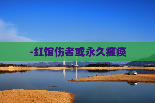 -红馆伤者或永久瘫痪 -红馆伤者或永久瘫痪