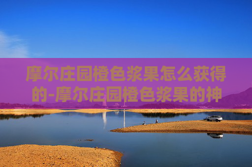 摩尔庄园橙色浆果怎么获得的-摩尔庄园橙色浆果的神秘获取之旅