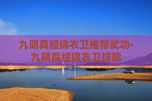 九阴真经锦衣卫推荐武功-九阴真经锦衣卫技能