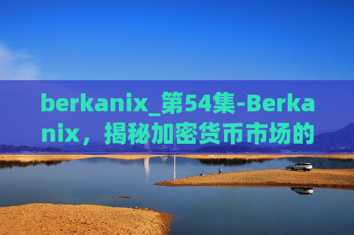 berkanix_第54集-Berkanix，揭秘加密货币市场的新星