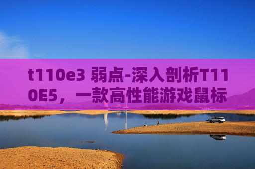 t110e3 弱点-深入剖析T110E5，一款高性能游戏鼠标的弱点与改进策略
