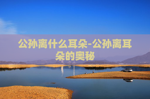 公孙离什么耳朵-公孙离耳朵的奥秘