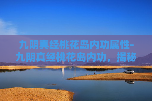 九阴真经桃花岛内功属性-九阴真经桃花岛内功，揭秘古代武学中的隐秘绝学