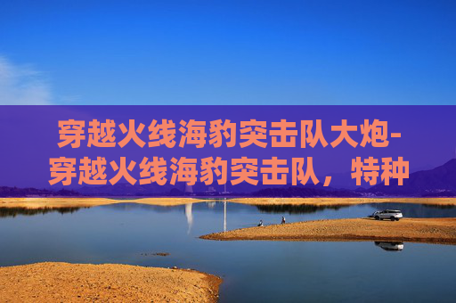 穿越火线海豹突击队大炮-穿越火线海豹突击队，特种部队的荣耀与挑战