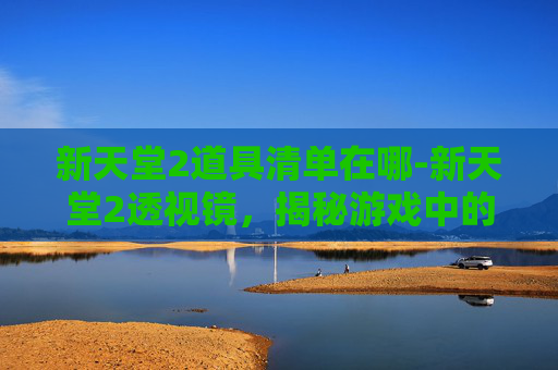 新天堂2道具清单在哪-新天堂2透视镜，揭秘游戏中的隐藏技巧与策略