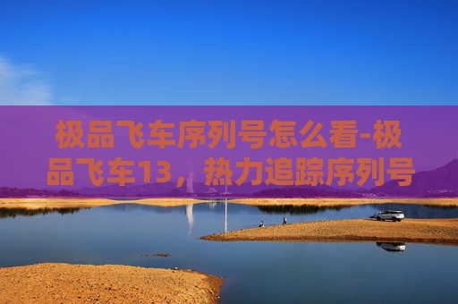 极品飞车序列号怎么看-极品飞车13，热力追踪序列号大揭秘