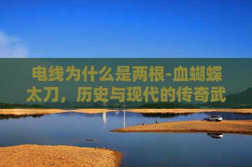 电线为什么是两根-血蝴蝶太刀，历史与现代的传奇武器