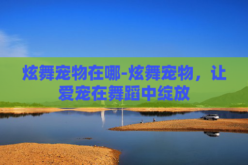 炫舞宠物在哪-炫舞宠物，让爱宠在舞蹈中绽放