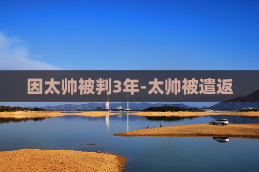 因太帅被判3年-太帅被遣返