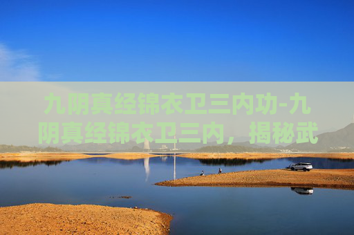 九阴真经锦衣卫三内功-九阴真经锦衣卫三内，揭秘武侠世界中的隐秘力量