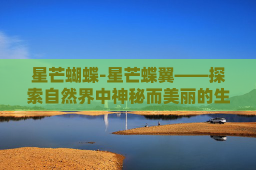 星芒蝴蝶-星芒蝶翼——探索自然界中神秘而美丽的生物