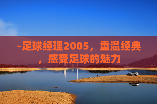 -足球经理2005，重温经典，感受足球的魅力