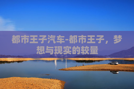 都市王子汽车-都市王子，梦想与现实的较量