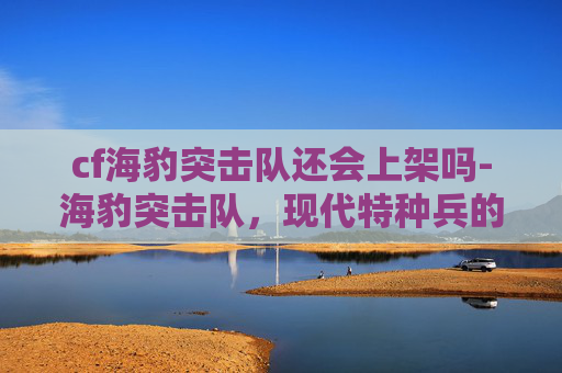 cf海豹突击队还会上架吗-海豹突击队，现代特种兵的传奇