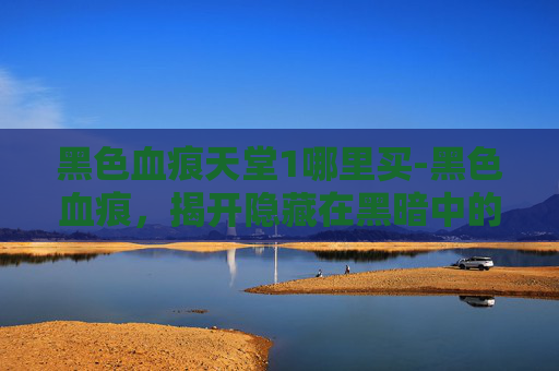 黑色血痕天堂1哪里买-黑色血痕，揭开隐藏在黑暗中的真相