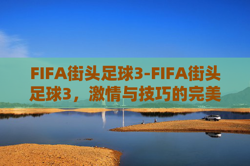 FIFA街头足球3-FIFA街头足球3，激情与技巧的完美融合