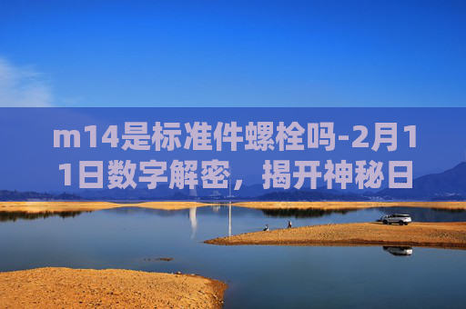 m14是标准件螺栓吗-2月11日数字解密，揭开神秘日期背后的奥秘