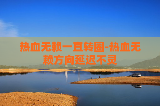 热血无赖一直转圈-热血无赖方向延迟不灵