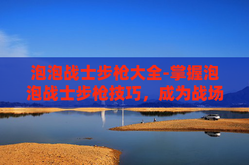 泡泡战士步枪大全-掌握泡泡战士步枪技巧，成为战场上的佼佼者