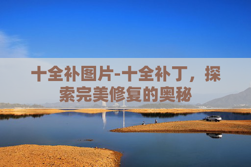 十全补图片-十全补丁，探索完美修复的奥秘