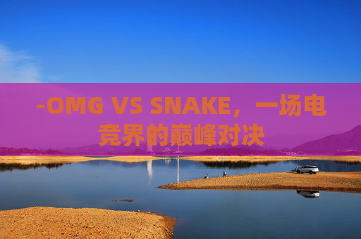-OMG VS SNAKE，一场电竞界的巅峰对决