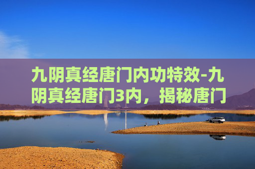 九阴真经唐门内功特效-九阴真经唐门3内，揭秘唐门绝学与内功心法
