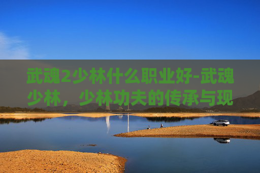 武魂2少林什么职业好-武魂少林，少林功夫的传承与现代演绎