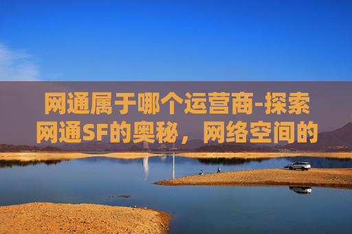 网通属于哪个运营商-探索网通SF的奥秘，网络空间的自由与挑战