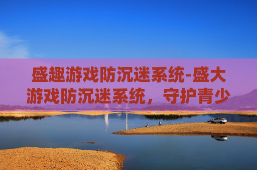 盛趣游戏防沉迷系统-盛大游戏防沉迷系统，守护青少年健康成长的防线