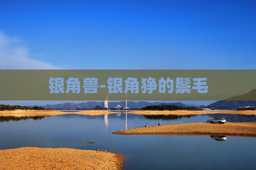银角兽-银角狰的鬃毛
