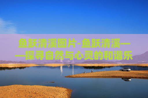 鱼跃清溪图片-鱼跃清溪——探寻自然与心灵的和谐乐章