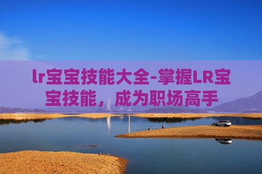lr宝宝技能大全-掌握LR宝宝技能，成为职场高手