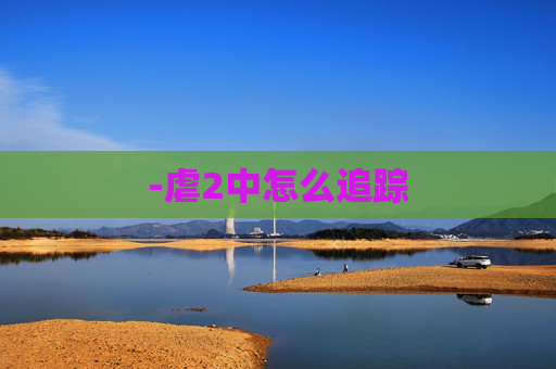 -虐2中怎么追踪