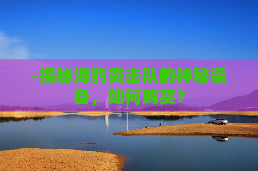 -揭秘海豹突击队的神秘装备，如何购买？