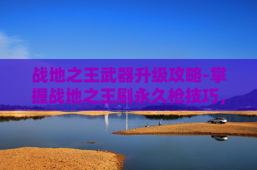 战地之王武器升级攻略-掌握战地之王刷永久枪技巧，成为游戏中的不败传说