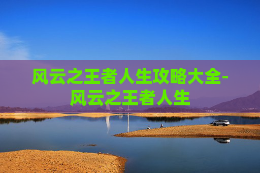 风云之王者人生攻略大全-风云之王者人生