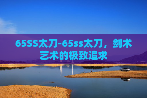65SS太刀-65ss太刀，剑术艺术的极致追求
